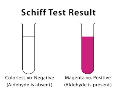 what is schiff test|Notes on Schiff Reagent and Test .